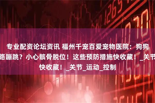 专业配资论坛资讯 福州千宠百爱宠物医院：狗狗总抬腿、走路蹦跳？小心髌骨脱位！这些预防措施快收藏！_关节_运动_控制