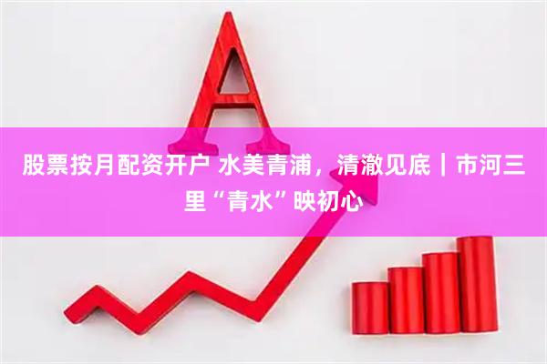 股票按月配资开户 水美青浦，清澈见底｜市河三里“青水”映初心