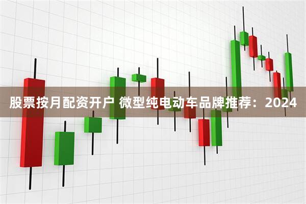 股票按月配资开户 微型纯电动车品牌推荐：2024
