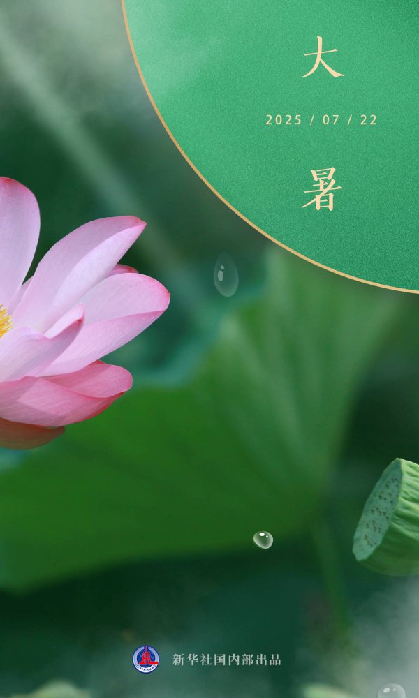 场外股票配资 节令之美｜大暑：细嗅荷香，金池纳凉